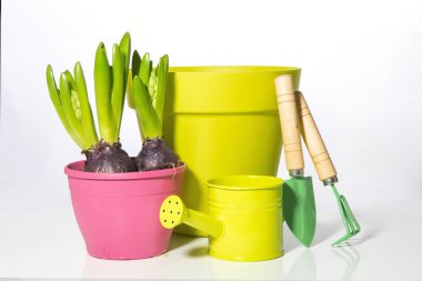  İzole nesneleri. Bahçe seti.