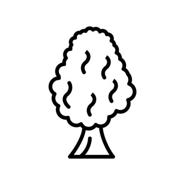 Ağaç simge vektör izole beyaz arka plan, ağaç işareti, çizgi üzerinde 