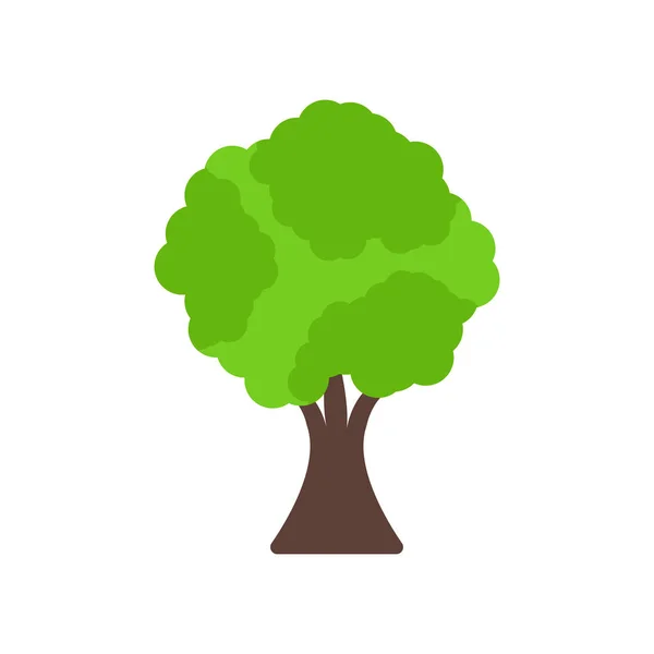 Вектор Піктограми Дерева Ізольовано Білому Тлі Вашого Дизайну Веб Мобільних — стоковий вектор