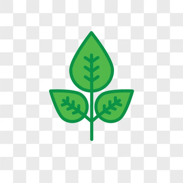 Ikon vektor daun diisolasi pada latar belakang transparan, logo leaf d - Stok Vektor
