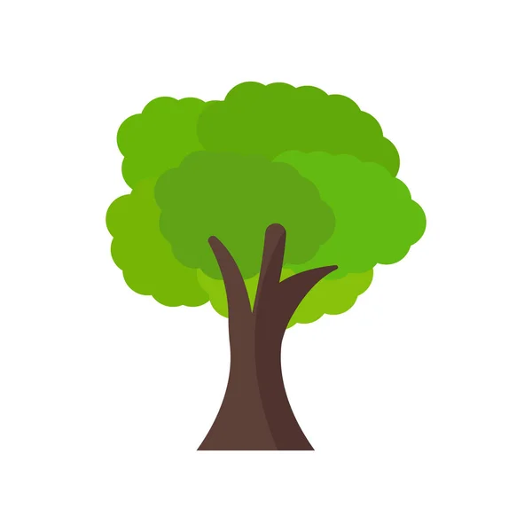 Árbol icono signo vectorial y símbolo aislado sobre fondo blanco — Vector de stock