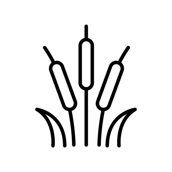Schilfbettsymbol Vektor isoliert auf weißem Hintergrund, Schilfbettzeichen — Stockvektor