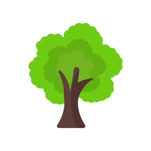 Árbol icono signo vectorial y símbolo aislado sobre fondo blanco — Vector de stock