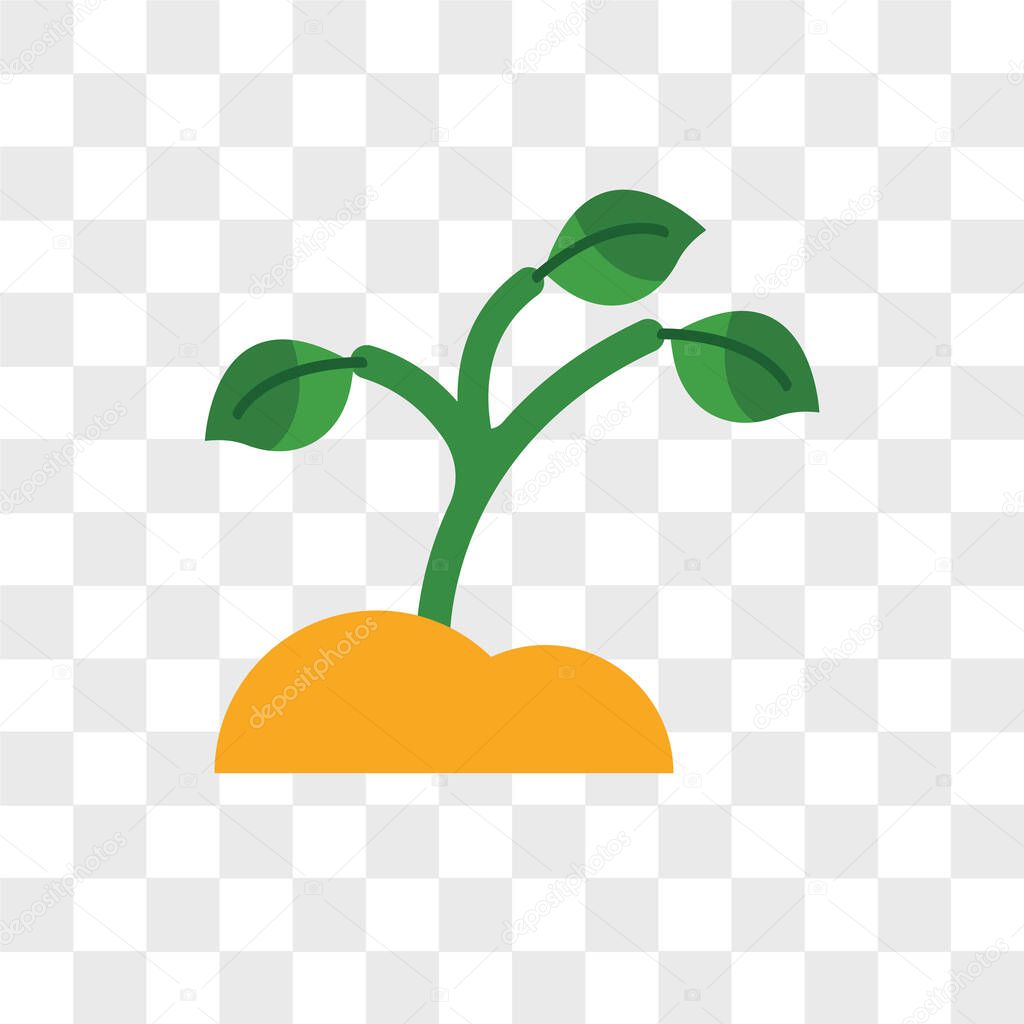 Sprout vector icon isolated on transparent background, Sprout logo concept