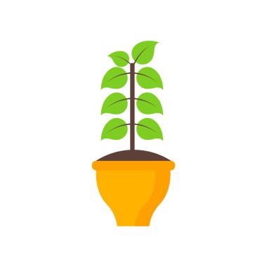 Web ve mobil uygulama tasarımınız için beyaz arkaplanda izole edilmiş bitki simgesi vektörü