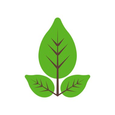 Web ve mobil uygulama tasarımınız için beyaz arkaplanda yaprak simgesi vektörü izole edildi