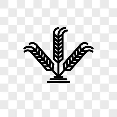 İsrail Barley vektör simgesi, şeffaf arkaplanda izole,