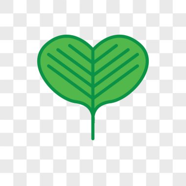 Şeffaf arkaplanda Ginkgo vektör simgesi izole edildi, Ginkgo lo