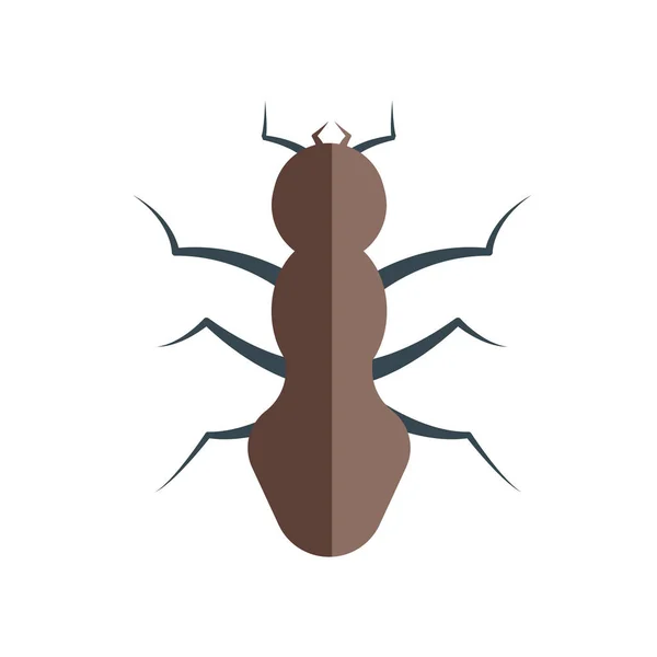 Ant icono signo vectorial y símbolo aislado sobre fondo blanco — Archivo Imágenes Vectoriales