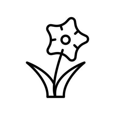 Daffodil icon vector isolated on white background, Daffodil sign