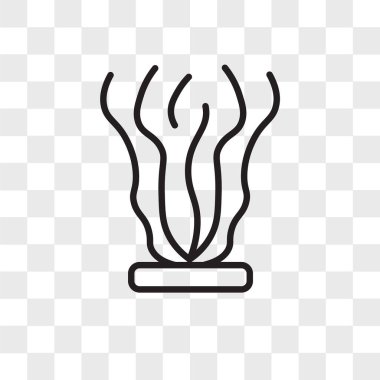 Fasciculate vector icon isolated on transparent background, Fasc