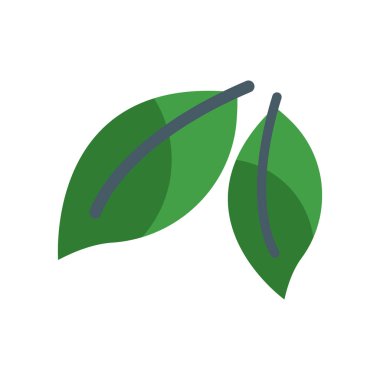 Yaprak simge vektör işareti ve beyaz arka plan üzerinde izole sembolü