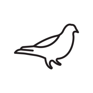 Beyaz arkaplanda güvercin simgesi izole edildi