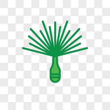 Çam İğnesi vektör simgesi şeffaf arkaplanda izole, Çam