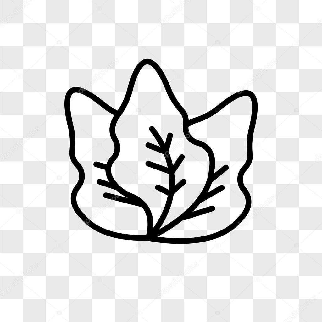 Kale vector icon isolated on transparent background, kale logo concept