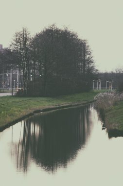 Sonbahar ağaç yansımalar