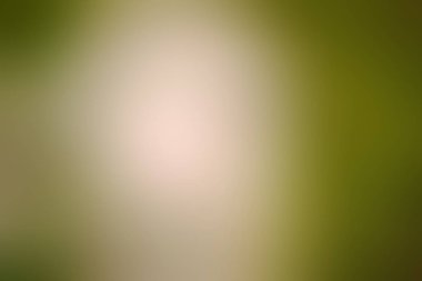 Odak dışı yeşil yüzey