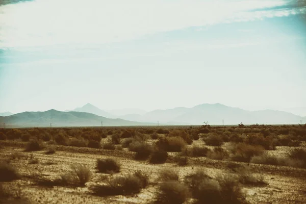 Paesaggio deserto con ciuffi — Foto Stock