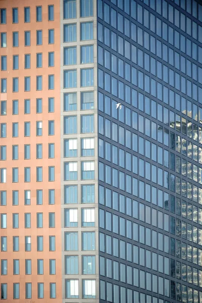 Modern skyscraper facade — Stock Photo, Image