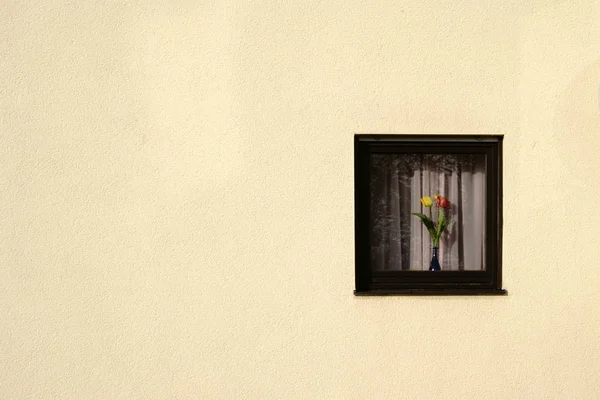 窗户里的花 — 图库照片