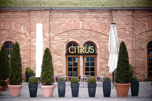 Citrus restaurang Mainz — Stockfoto