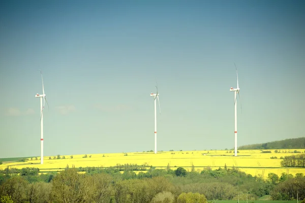 Wind turbines at the rape field — Stock Photo, Image