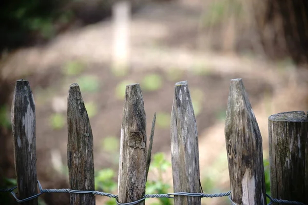 Clôture en bois gros plan — Photo