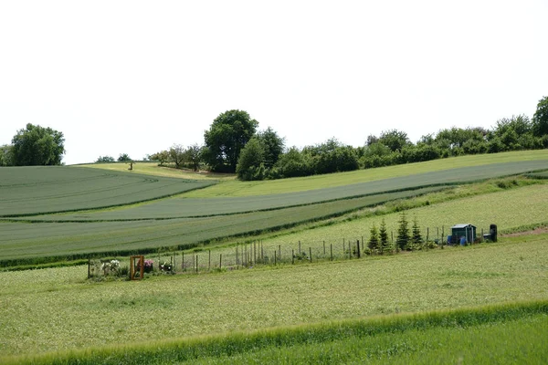 Garden in the hills — Stock Photo, Image