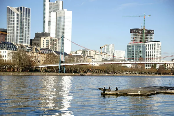 De rivier financiële wijk Frankfoort — Stockfoto