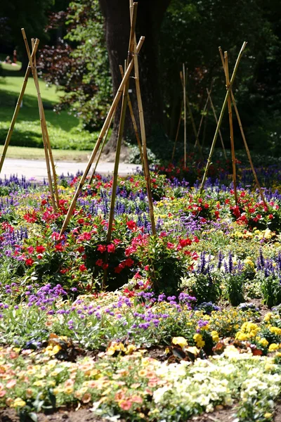 Colorful garden bed with wooden stakes — Stock Photo, Image