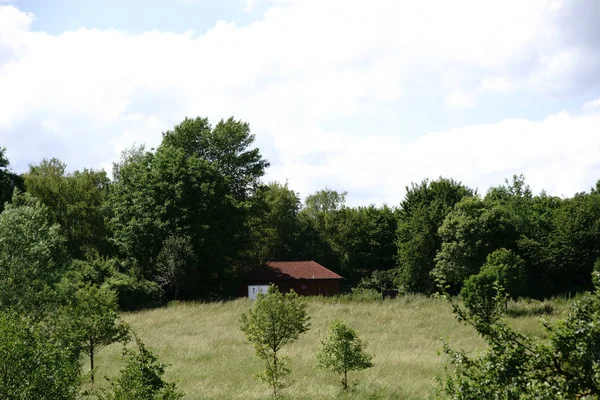 ormanın kenarında yazlık