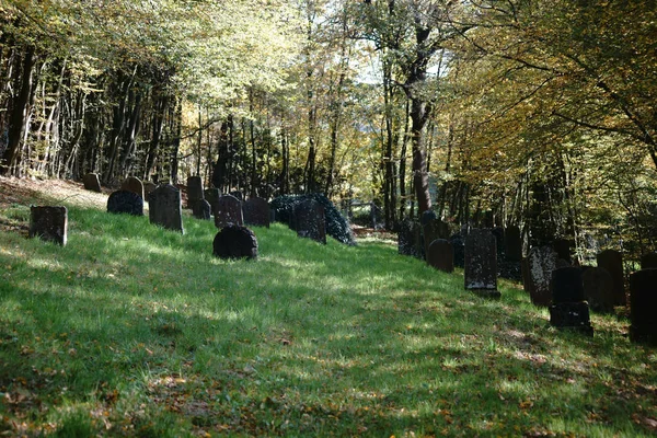 Jewish cemetery Taunusstein-Wehen — Stock Fotó