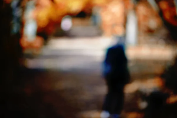 Park Herbst Aus Dem Fokus Die Abstrakten Und Verschwommenen Silhouetten — Stockfoto
