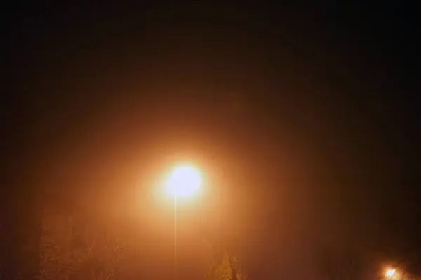 Lanterne Dans Nuit Brouillard Lampadaire Illumine Jaune Les Feuilles Arbre — Photo