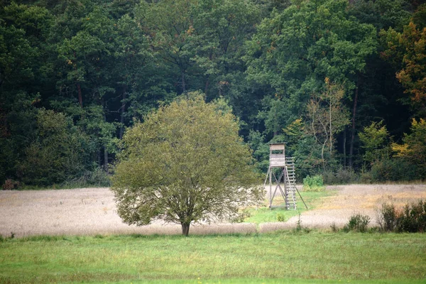 Hochsitz Waldrand Ein Hochsitz Und Jagdlager Steht Waldrand Auf Einem — Stockfoto