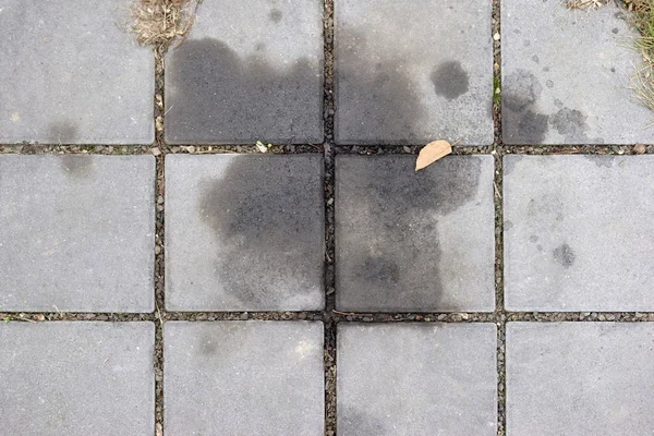 Mancha Óleo Nas Pedras Calçada Uma Mancha Óleo Superfície Das — Fotografia de Stock