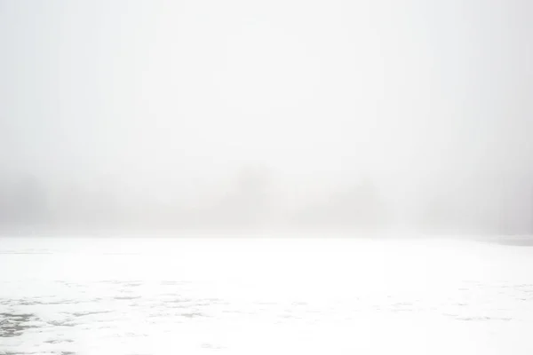 Paisaje Invernal Niebla Paisaje Invernal Con Siluetas Árboles Arbustos Detrás —  Fotos de Stock