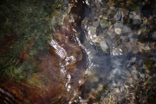 Clear Creek Vatten Med Virvlar Virvel Och Våg Mönster Bäck — Stockfoto