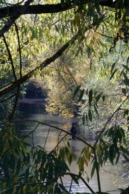 Nehir kıyısında. Küçük bir nehrin aşırı gelişmiş kıyısında.