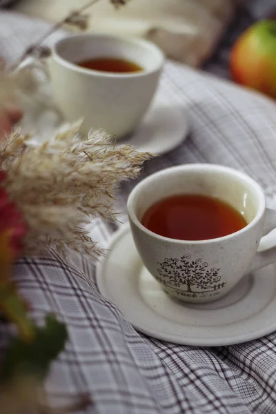 iki bardak çay ekose