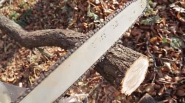 Kamera testere kılavuzuna yakınlaşıyor ve uzaklaşıyor.