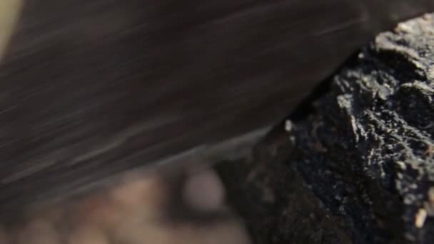 Побачив Дерево Ручною Пилкою — стокове відео
