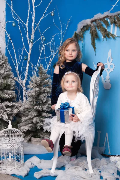 Dvě Dívky Zimní Scenérii Blízkosti Umělého Vánočního Stromečku Velké Umělé — Stock fotografie