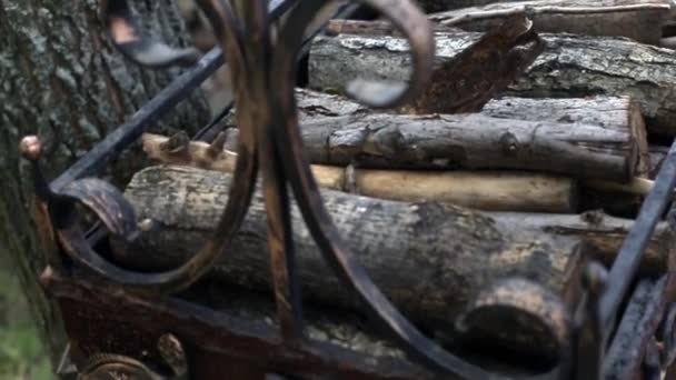 Kamera Przechodzi Obok Kutego Grilla Drewna Opał — Wideo stockowe