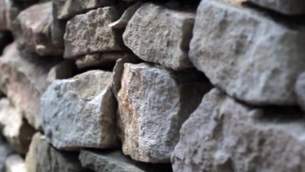 Camera Moves Wall Wild Stone Slow Motion — Stock Video