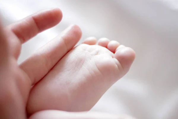 Noga Noworodka Ręce Dorosłego — Zdjęcie stockowe