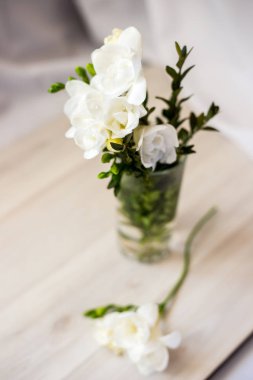 bir bardak beyaz Frezya çiçek