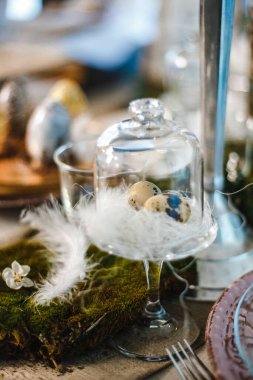 Cam bir çanın altındaki yuvada iki bıldırcın yumurtası