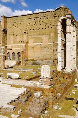 Roman Forum, Roma'nın tarihi merkezi, İtalya.