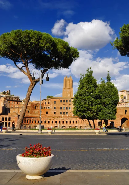 Forum Romain Centre Historique Rome Italie — Photo